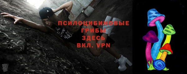 ECSTASY Алексеевка