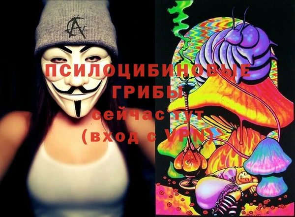 амф Алексин