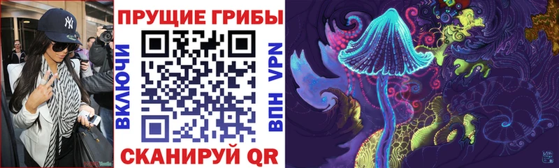 купить наркотик  площадка телеграм  Псилоцибиновые грибы Magic Shrooms  Балабаново  MEGA ТОР 